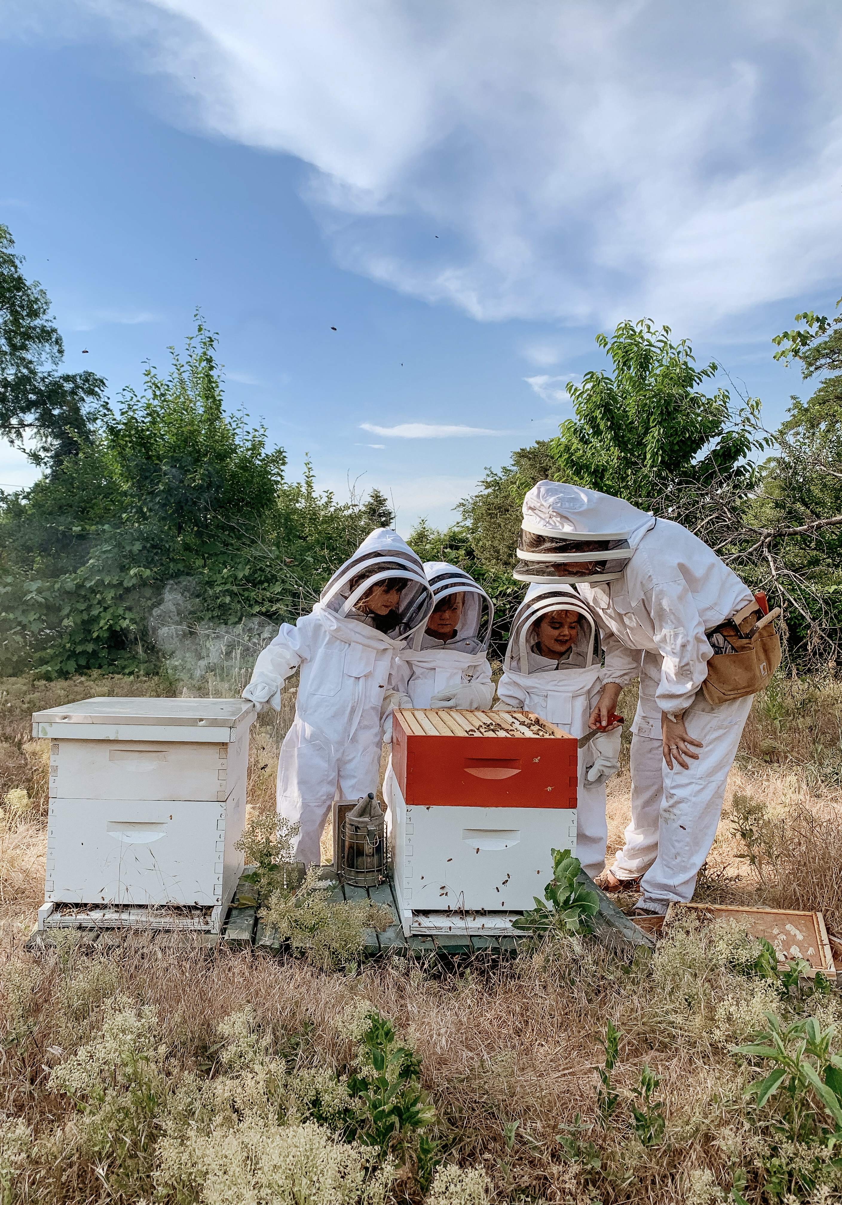 Ask a Beekeeping Expert - McKay Opeifa 4